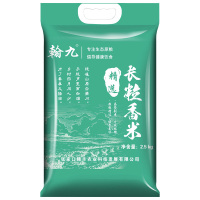 翰九 长粒香米大米2.5kg 东北大米 真空包装 5斤 梗米 香米