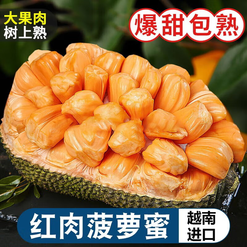 [苏鲜生]越南红肉菠萝蜜 新鲜水果 香甜可口 1个 净重10-12斤装 热带水果