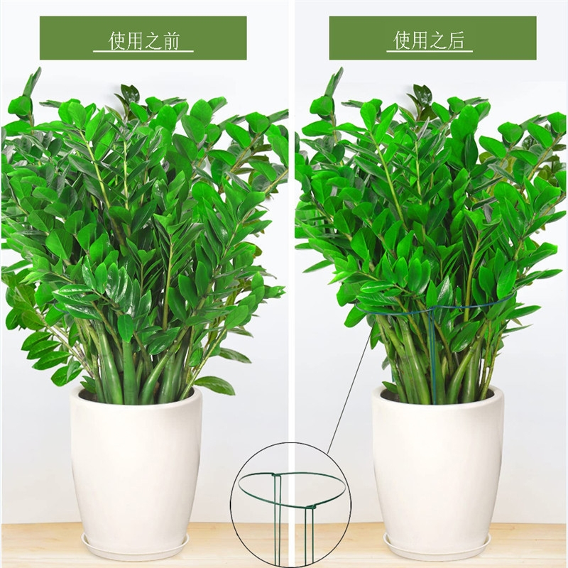 阿斯卡利(ASCARI)花撑支架阳台花架龟背竹防倒支撑固定半圆支撑杆爬藤植物花盆花架