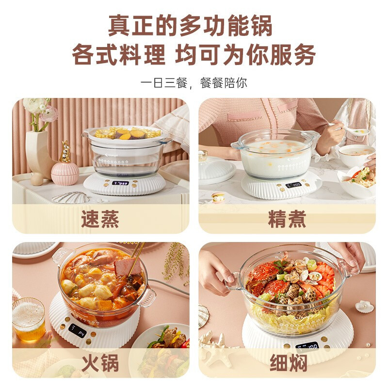 长帝(changdi)多功能锅电炖锅2L大容量 家用定时预约电炖锅隔水炖盅煲汤锅 掌上明珠RE25A