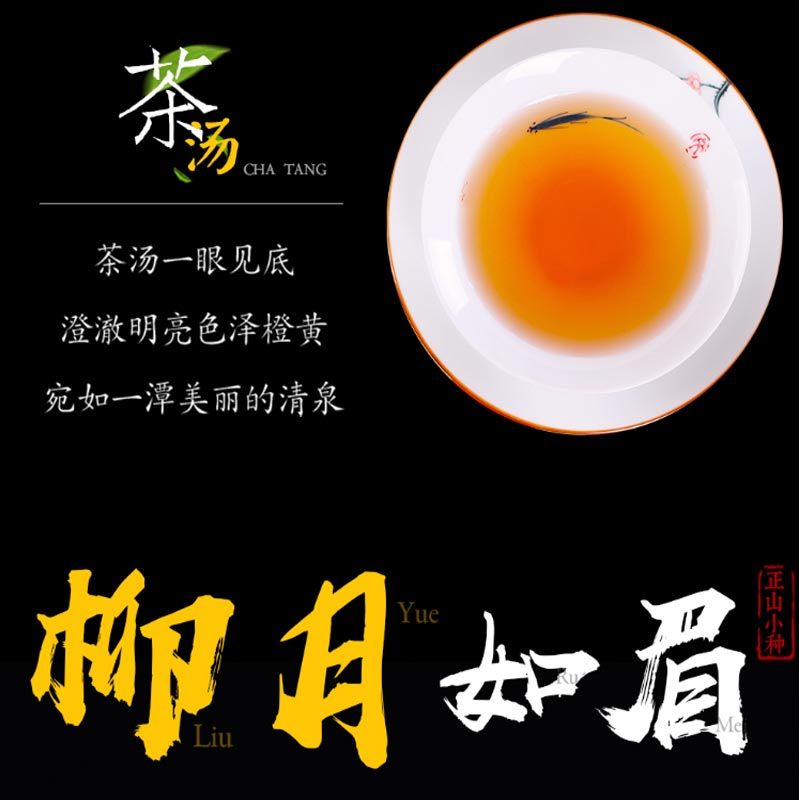 萃姿尔(TRESOR)正山小种红茶茶叶 泡袋单独包装 150克礼盒装