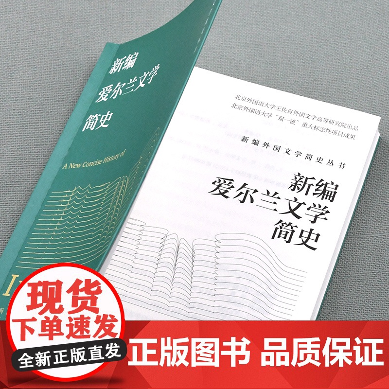 [外研社]新编爱尔兰文学简史高清大图