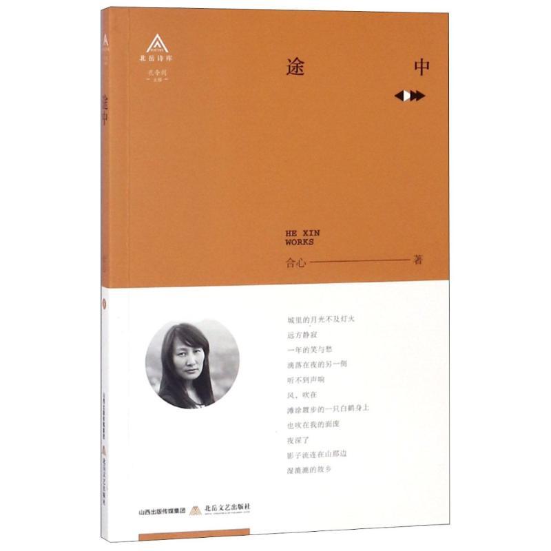 正版新书】途中/合心著合心9787537856089