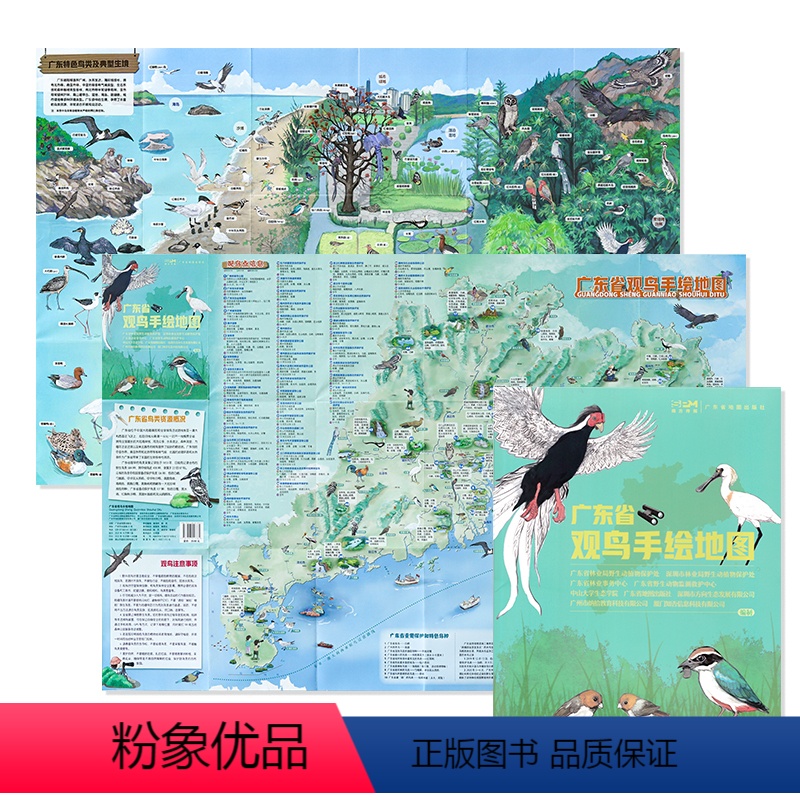 [正版]全新版 广东省观鸟手绘地图 广东省林业局动物植物保护处 鸟类摄影地点 手绘精美插图