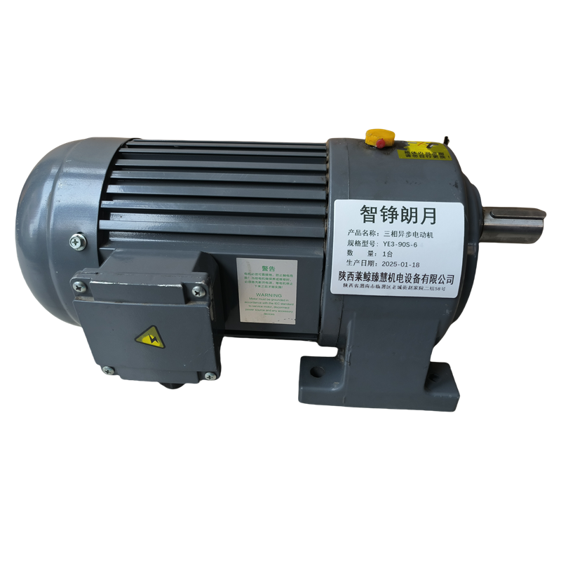 智铮朗月 三相异步电动机 YE3-90S-6 台高清大图