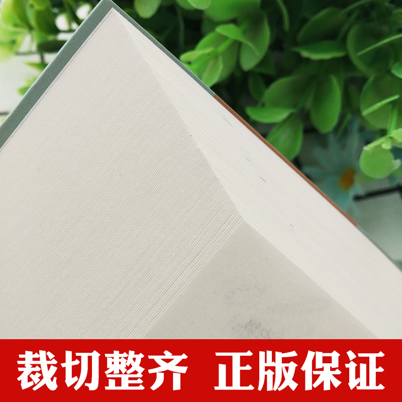 神秘岛 [正版]5本25元居里夫人传 小学生六年级 世界文学名著 经典外国名著 名家名译 居里夫人自传的故事 青少年中高清大图