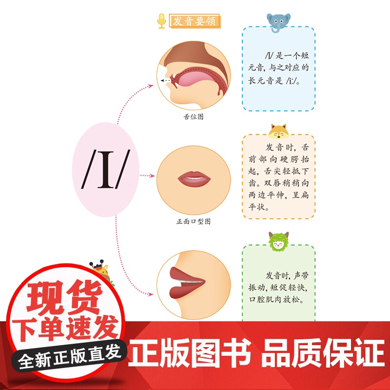 自然拼读记单词+音标记单词[全2册]扫码点读彩图版思维导图少儿英语启蒙小学生英语入门三四五六年级英语记单词启蒙读物小学生高清大图