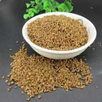 不熏硫黑苦荞苦荞麦500g 可搭苦荞茶