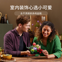 LEGO乐高10309多肉植物拼装积木玩具益智收藏礼物