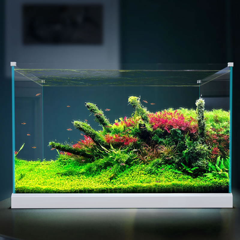 加宽超白玻璃鱼缸客厅小型生态水族箱水缸中型桌面金鱼缸高清大图