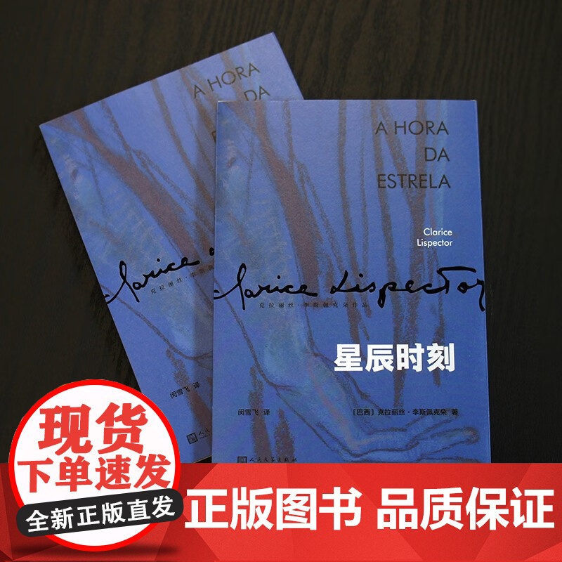 星辰时刻 克拉丽丝·李斯佩克朵 著 小说高清大图