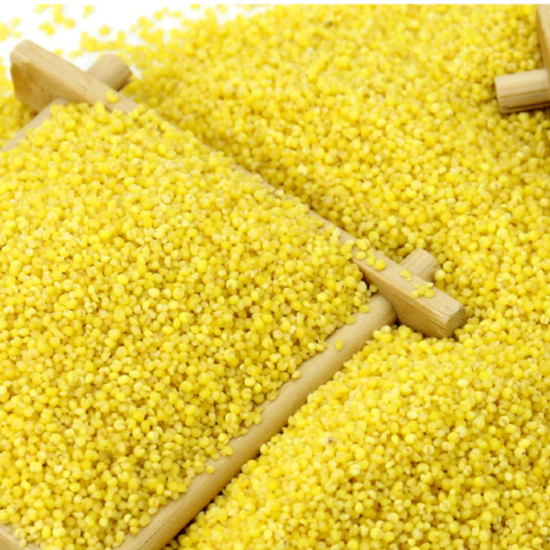 艾谷山西黄小米2kg(小米粥 五谷杂粮 粗粮 山西小米 )高清大图