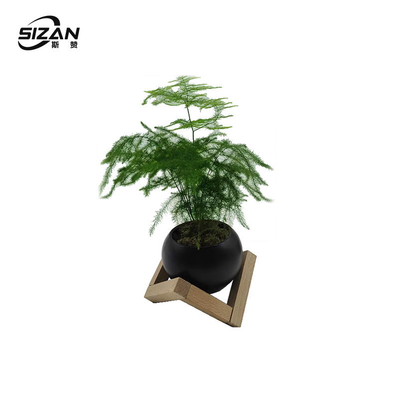斯赞 个性化花架装架文竹摆件 SZ1022 套高清大图