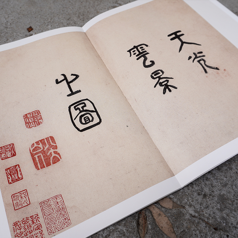 [正版]中国名绘集珍:八大山人天光云景册 清代山水画 原色高清印制细节装裱临摹赏玩皆宜 经折装中国画典范范本绘画作品赏高清大图