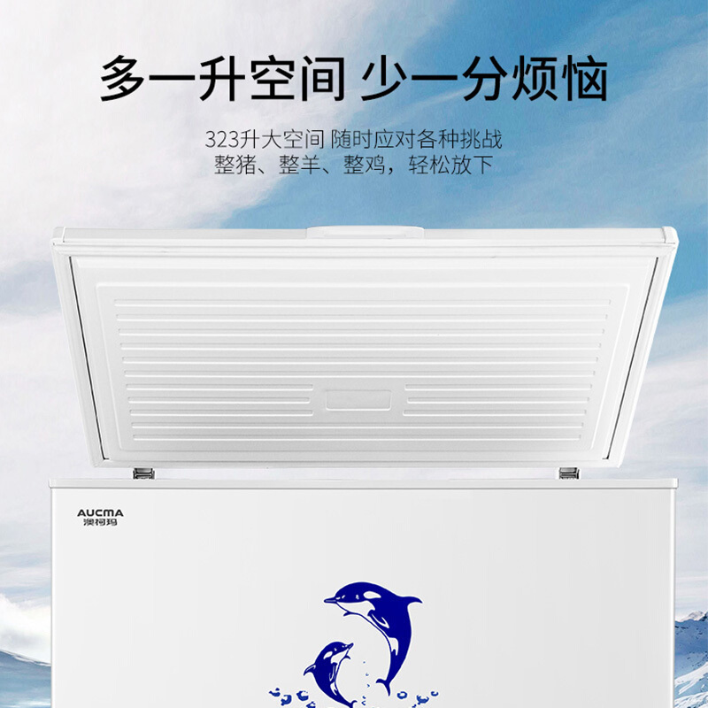 澳柯玛(AUCMA)家用商用卧式大冷柜 冷藏冷冻转换柜 节能低噪 顶开门冰柜323升BC/BD-323NE