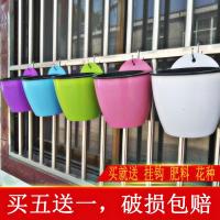 回固自动吸水挂式花盆垂吊悬挂式塑料盆吊兰绿萝墙壁阳台室内挂壁花盆 果绿色配无痕钉 中等