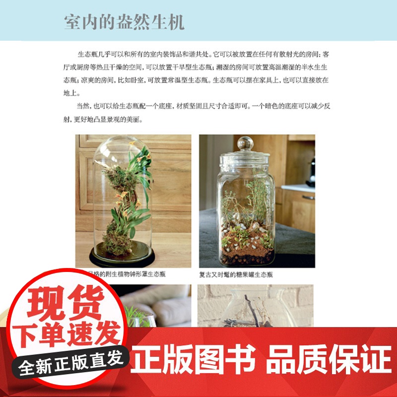 绿手指园艺书籍 :迷你生态瓶高清大图