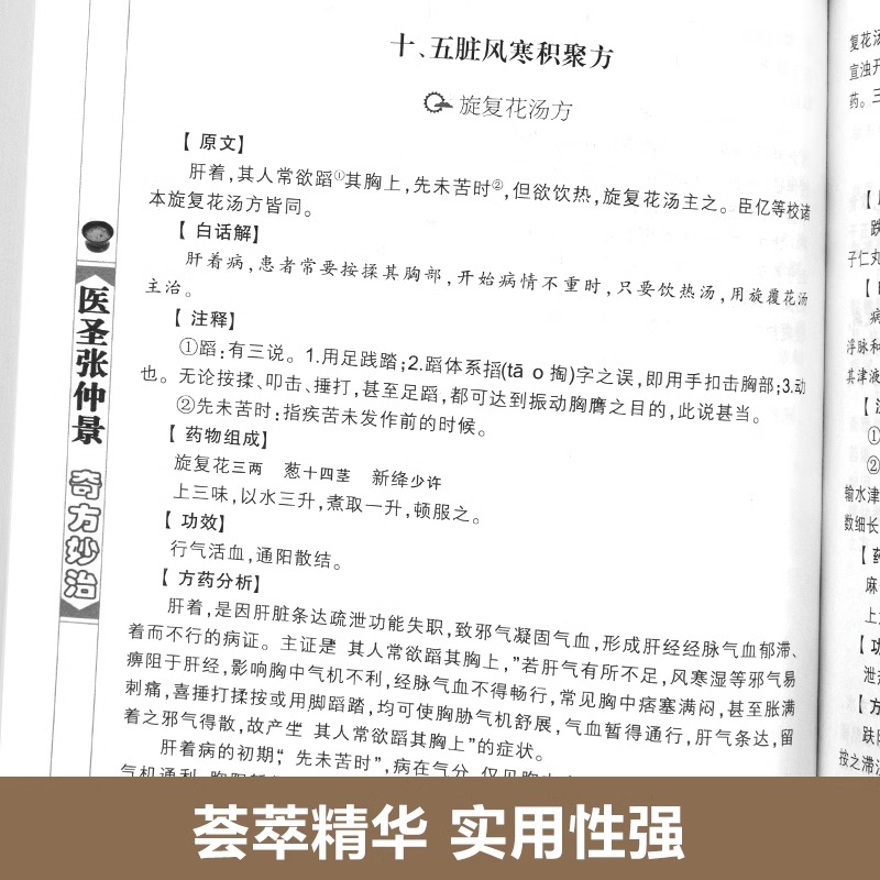 医圣张仲景 [正版]全4册中医书籍大全药王孙思邈+神医华佗+医祖扁鹊+医圣张仲景中医基础理论本草纲目黄帝内经中医四大名著高清大图