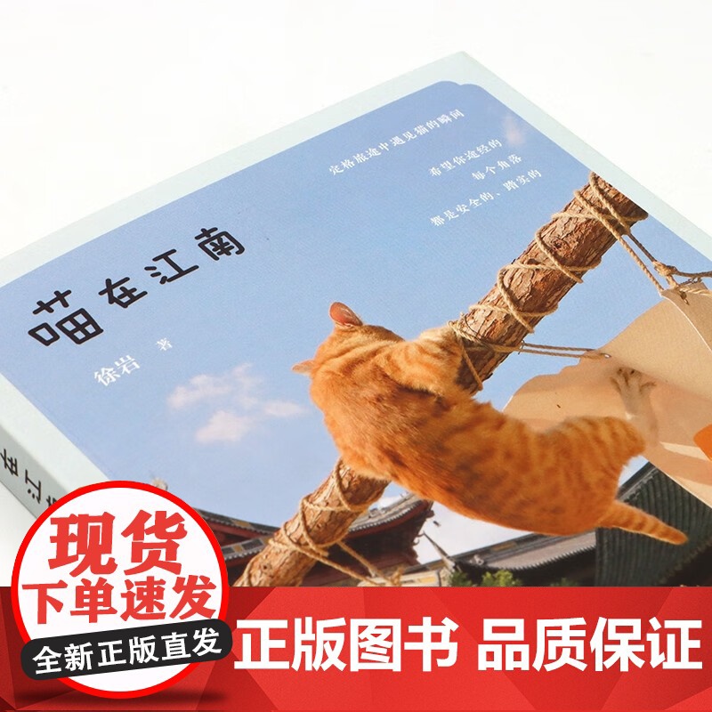 喵在江南 徐岩 著 摄影高清大图