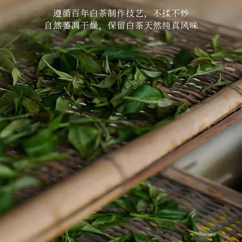 白大师 正脉之源2015年贡眉茶饼 福鼎白茶贡眉茶饼 300g高清大图