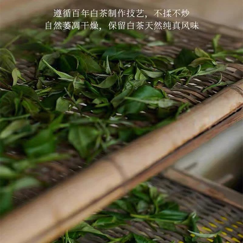 白大师 正脉之源2015年贡眉茶饼 福鼎白茶贡眉茶饼 300g图片
