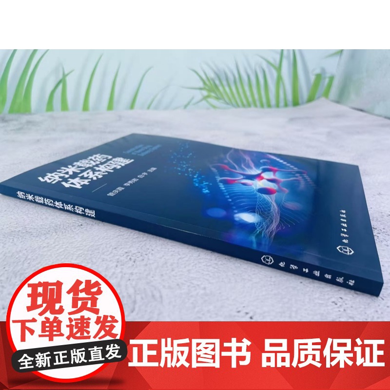 纳米载药体系构建 管庆霞、李秀岩、白宇 主编 化学工业出版社高清大图