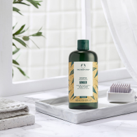 THE BODY SHOP 美体小铺 生姜洗发水 400ml/瓶 所有发质