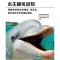 正版新书]海豚(4+)/发现更多佩内洛普·阿隆9787530766583