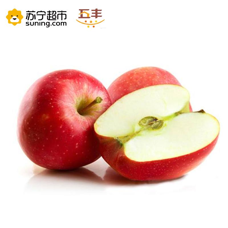 新西兰加力果(150克以上/单果)/12粒