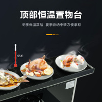 AOTIN/奥田ZKE4集成灶侧吸下排式蒸烤一体集成灶
