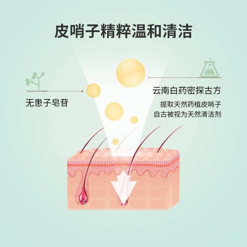 养元青头皮护理洗发乳(控油健发)500ml高清大图
