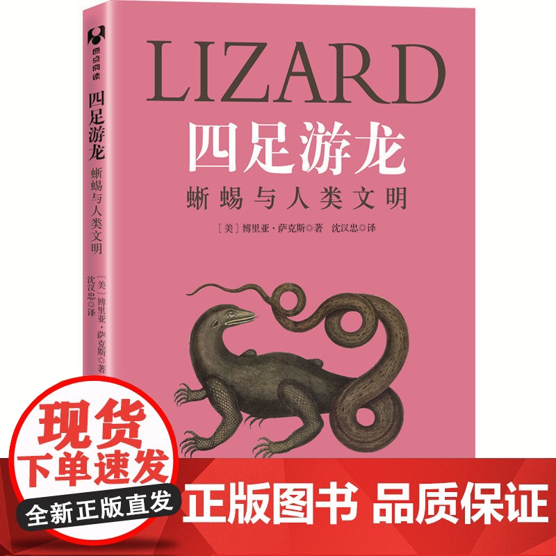 四足游龙:蜥蜴与人类文明 人类故事 清华大学出版社 正版书籍高清大图