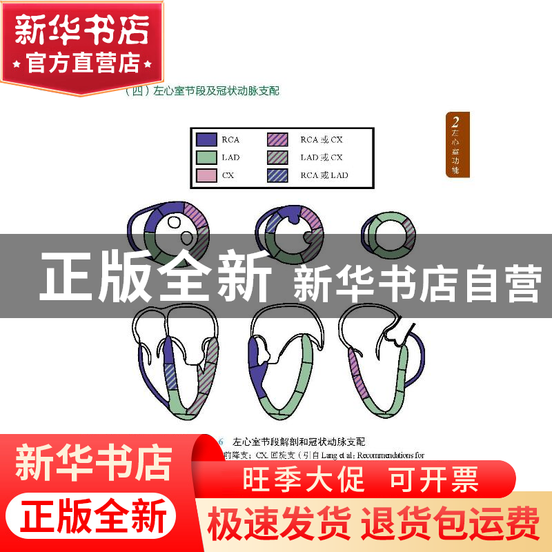 正版 TEE掌中宝 [美]Leanne Groban,[美]Chandrika Rajan Garner高清大图