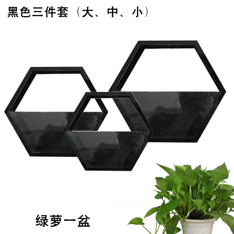 壁挂花盆欧式田园客厅阳台墙上多肉水培植物创意花盆墙壁装饰壁饰 三维工匠 黑色六边形三件套(送绿萝)