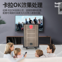 爱浪(AvliGHT) DX20-10pro户外广场舞音响直播K歌拉杆移动便携一体式大功率音箱抖音快手网红 10吋