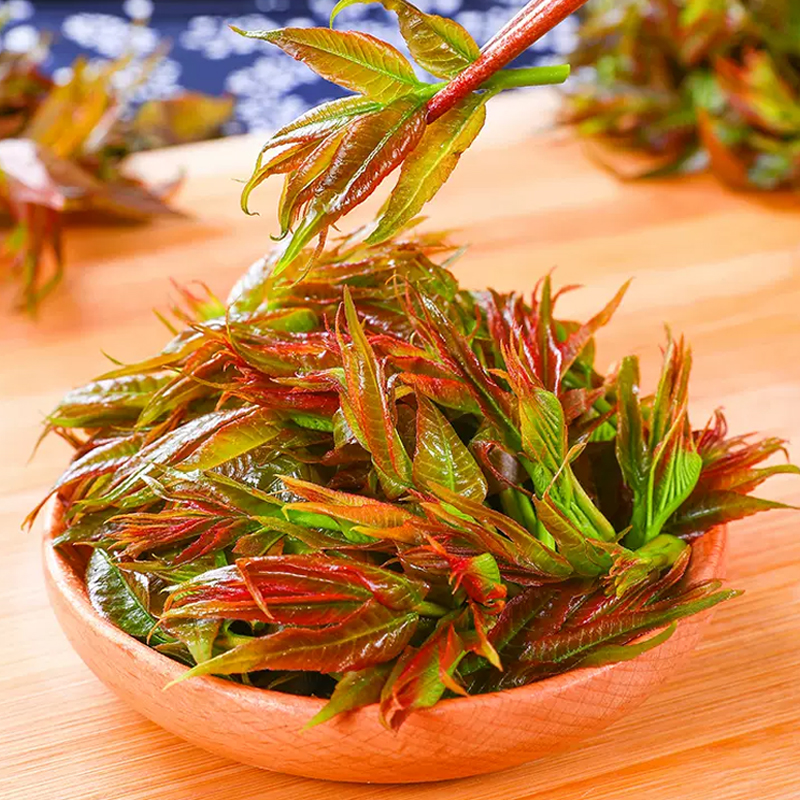 [西沛生鲜]云南头茬绿香椿芽新鲜 2斤 现摘红油香椿春芽菜当季时令蔬菜整箱高清大图