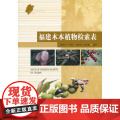 福建木本植物检索表