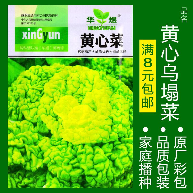 【补贴10%】蔬菜种子四季播盆栽番茄黄瓜辣椒西瓜籽孑大全罗卜蕃茄苏州青黄心 黄心乌塌菜约500粒 均码