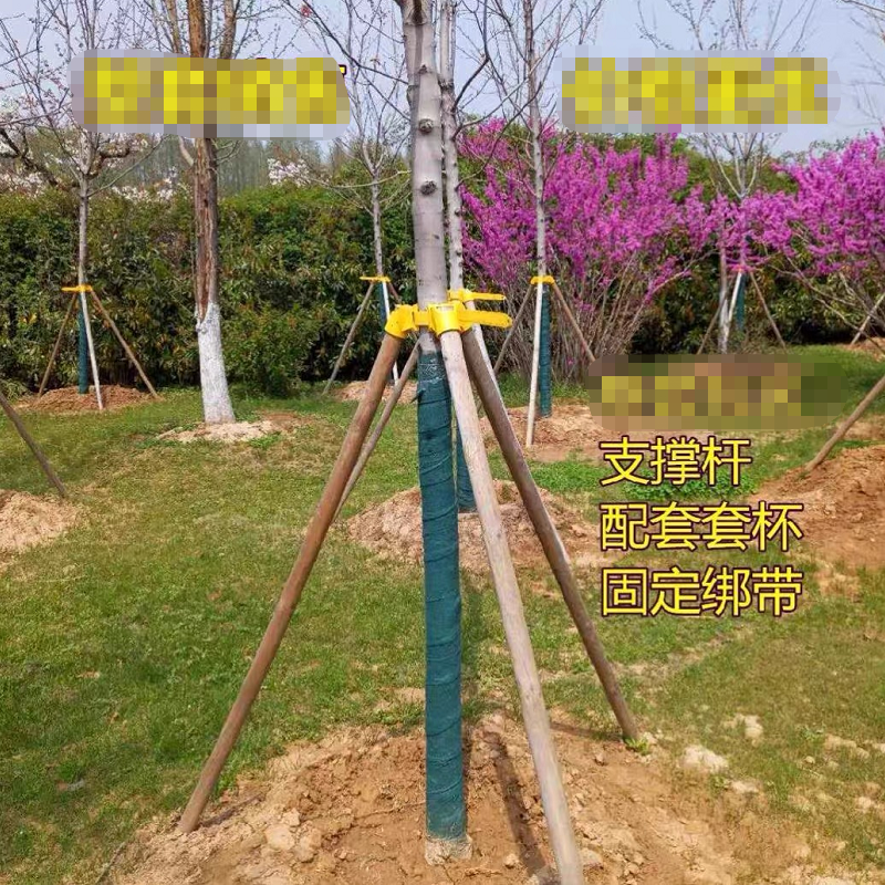 防风支撑架杆固定器塑料套杯扎绑带拉紧带树林花圃树苗绿化四脚稳