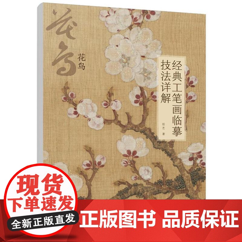 经典工笔画临摹技法详解:花鸟高清大图