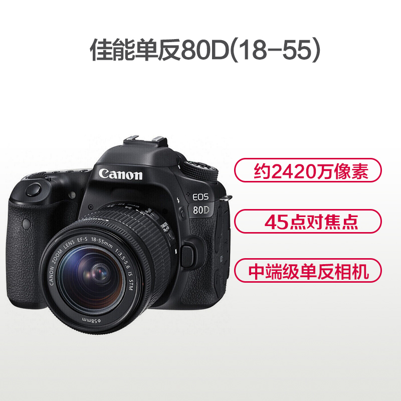 佳能(Canon) EOS 80D(18-55mm STM) 配件套装 数码单反相机 单镜头套装 约2420万像素