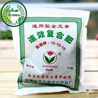 德国进口铃兰花苗根带芽货防辐射球根种根花卉绿植盆栽套装