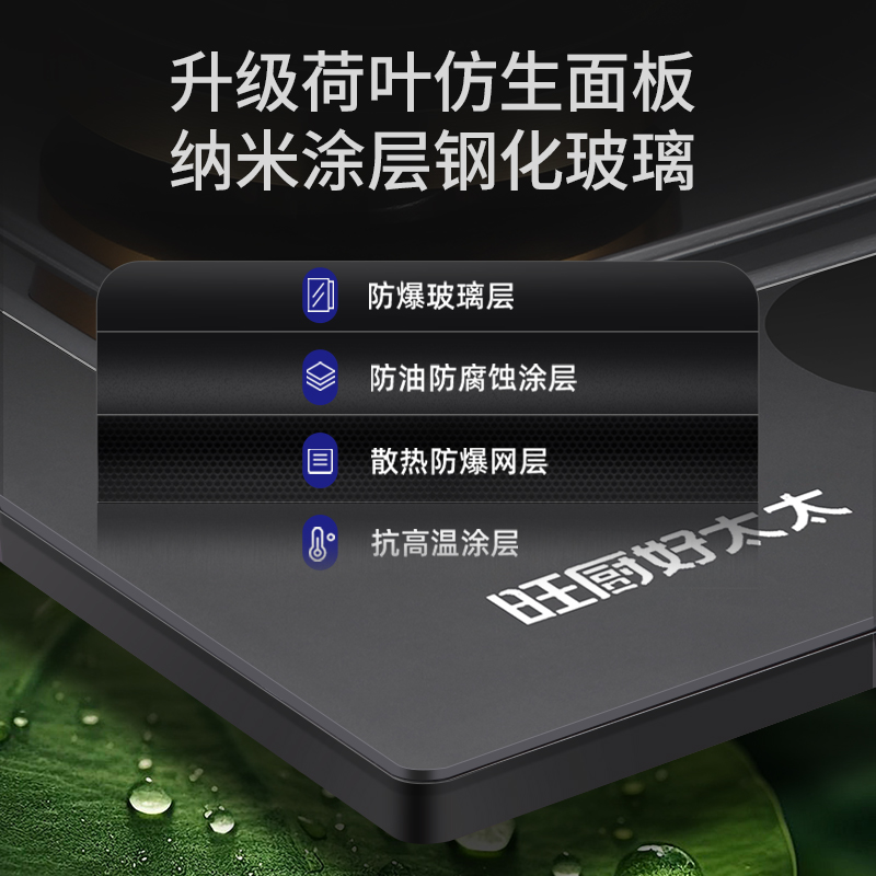 旺厨好太太 5.2KW磨砂直喷猛火灶 定时燃气灶家用炉灶 大火力煤气灶灶具双灶双眼灶液化气灶 打火灶企业价高清大图