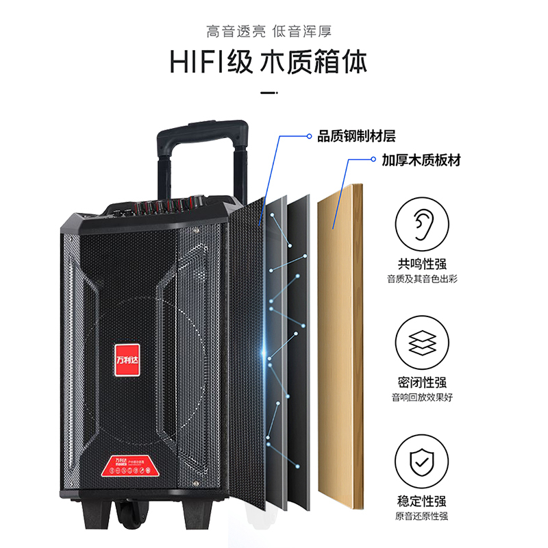万利达(Malata)L12plus户外便携广场舞音响无线蓝牙拉杆音响家用k歌低音炮大功率移动扩音器12英寸
