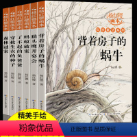杨红樱科学童话系列 全6册 [正版] 杨红樱系列书全套6册 科学童话故事画本 小学生三四五六年级课外书阅读书籍老师经典书
