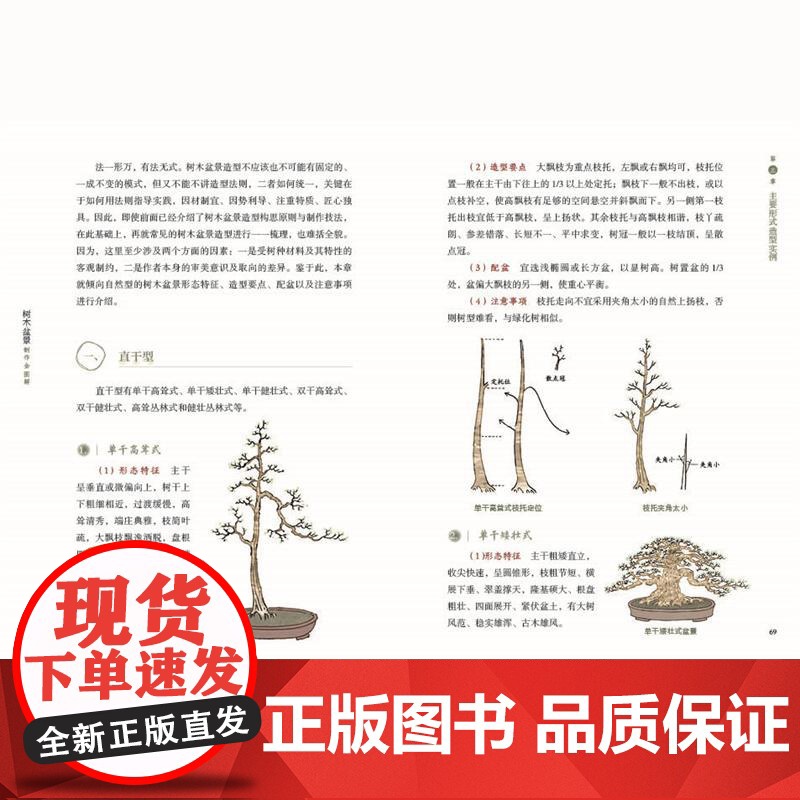 [店]树木盆景制作全图解 盆景树木、制作造型、养护、原生桩材、腹稿打样、欣赏高清大图