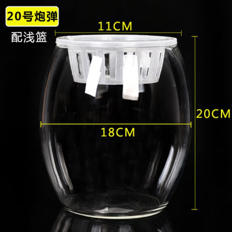 水培植物玻璃瓶个性容器富贵竹小清新定植篮客厅桌面小型迷你鱼缸 中等 20号炮弹+浅定植篮