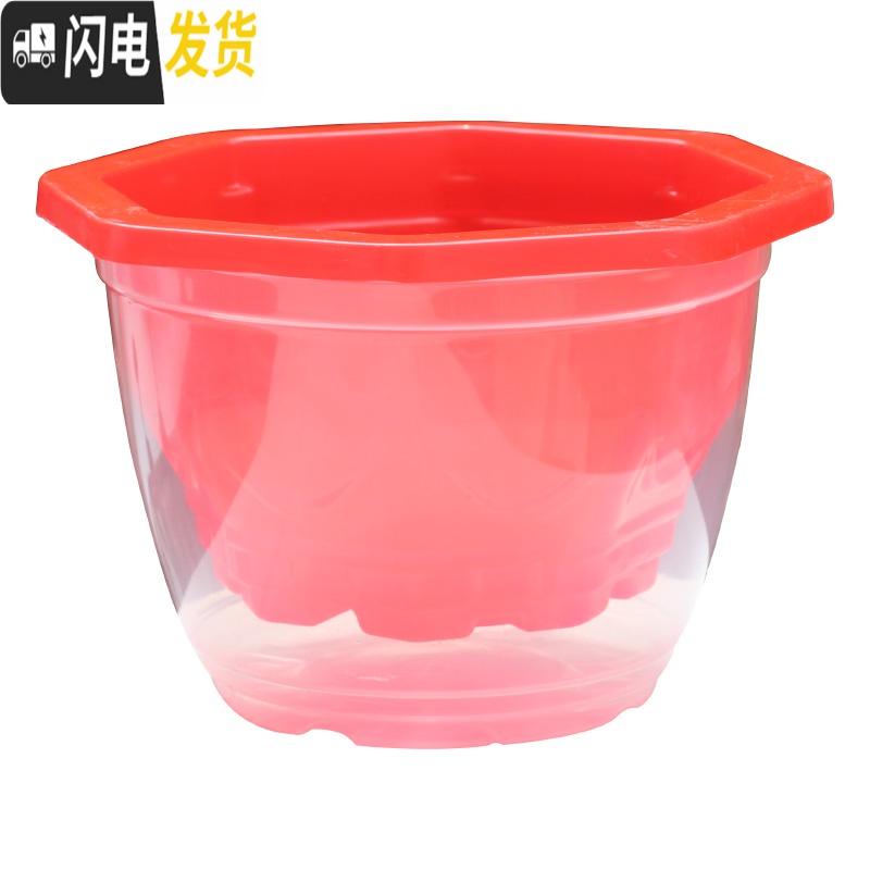 三维工匠花盆大号塑料透明罩懒人自动吸水花盆绿萝专用储水双层 [3个装]8角红盆+透明罩+棉绳 大花盆容器高清大图