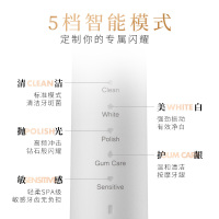 日本狮王极智柔力SMART KEY磁悬浮声波自动防水充电式软毛电动牙刷极智白色