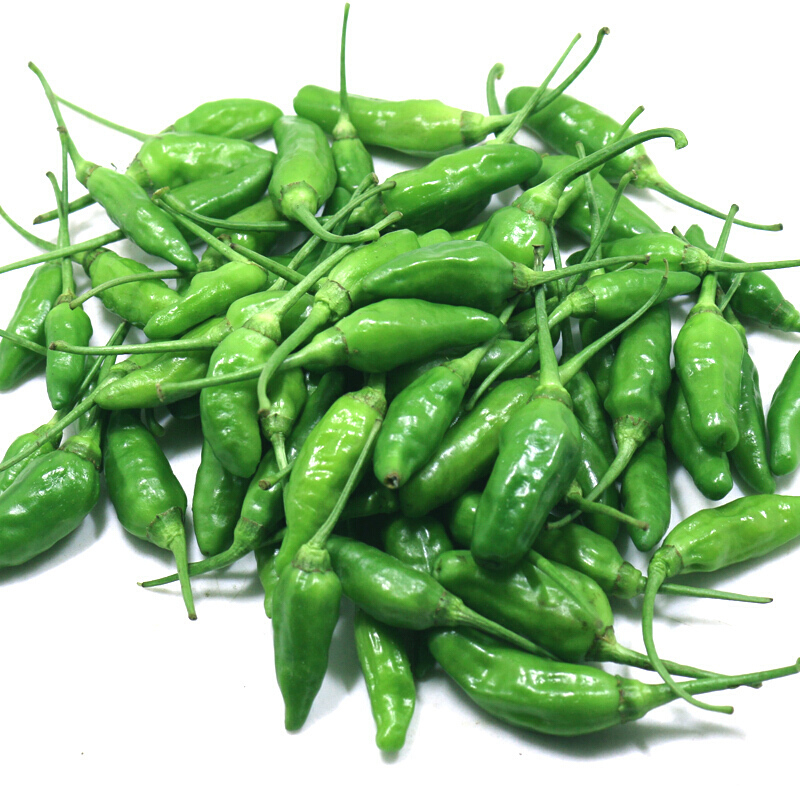xj广西指天椒超辣辣椒新鲜小米椒朝天椒尖椒野山椒现摘可开发票2500g